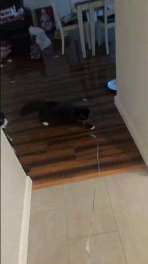 💅 Little Einsteins💅￼