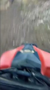 Quick spin in the woods Quad life