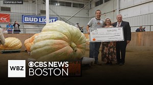 Giant pumpkin weighing 2,507 pounds breaks Topsfield Fair record