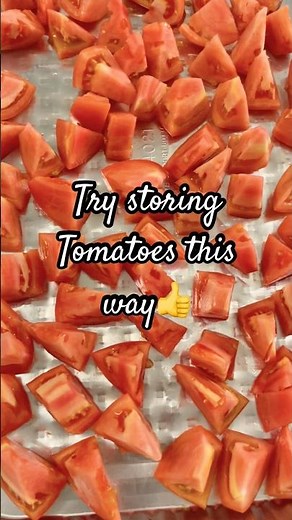 Storing 🍅Tomatoes ll Easy Method of Freezing and Storing Tomatoes