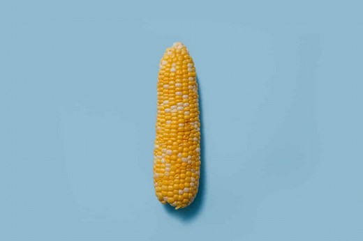 Parts of Corn – The Complete Breakdown