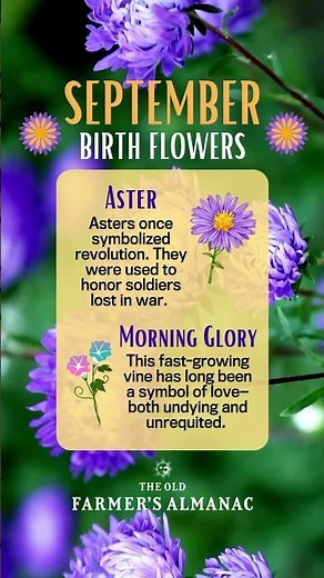 September Birth Flowers