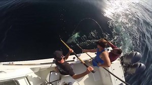 8.8K views · 19 reactions | Morita Custom Gaffs offers premium hand selected bamboo gaffs that are completely customizable and made with knife grade stainless steel hooks! Used and approved by top captains on the hit show Wicked Tuna! | Florida Sport Fishing | Facebook