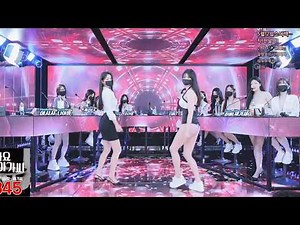 Top Highlights from Korean BJ Live Stream48 🔥| JINRICP Style | Girl Group Dance Challenge | kbj