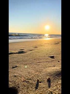 Start 2026 right with GOD | Catholic New Year Prayer Scripture ✝️