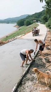 #reels #funnyvideo #viralvideo #funnyposts #prank Dog be like no entry 🚫 | Bai Taal funny videos