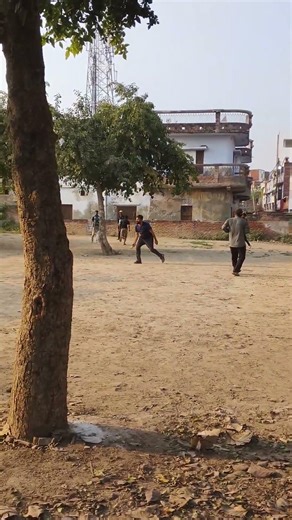 🏏🏏🏏