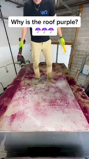 Satisfying Roof Rust Removal! #wddetailing #detailing #carwash #carcleaning #satisfying #oddlysatisfying #satisfyingvideos #asmr #asmrvideo #steamcleaning #carseat #cardetailing #detailingcars #valeting #carvaleting #detailingworld #detailingaddicts #detailingboost #carwashing #interiordetailing #carwashgram #fypツ #fyp #fypシ゚viral #reels2023 #reelsusa | WD Detailing