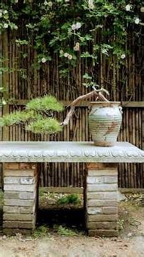 自然の中で見つけた松を盆栽に仕立てる#盆栽 #松盆栽 #bonsai
