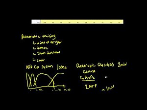 Anaerobic Training