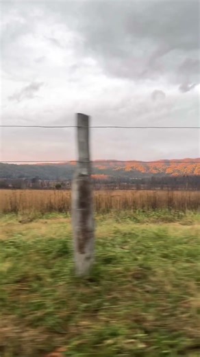 Cades Cove in November