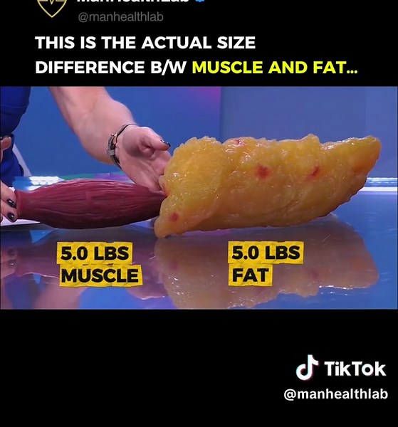 Follow @manhealthlab for more 🧠💪 Let’s clear this up once and for all — lifting weights won’t make you “too bulky.” Muscle and fat weigh the same, but they don’t look the same. 💡 Muscle is dense, tight, and sculpted. 💡 Fat is soft, loose, and takes up far more space. That’s why when you build lean muscle and lose fat, you actually look smaller, tighter, and more defined, not bigger. The scale might not move much, but your reflection will. So stop fearing the weights — they’re your secret wea