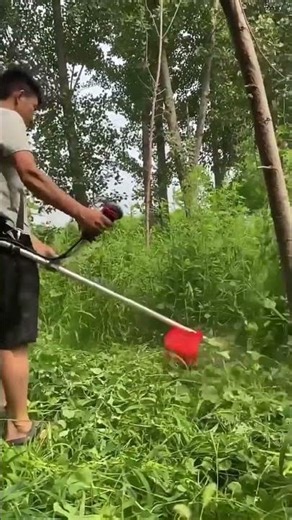 tea/grass brush cutter