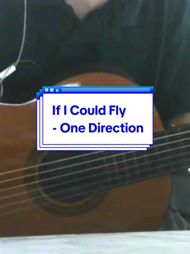 Exploring 'If I Could Fly' by One Direction