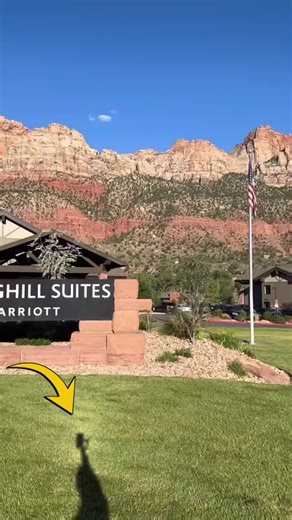Stay steps away from adventure at SpringHill Suites by Marriott in Springdale, Utah. Enjoy spacious suites, modern amenities, and stunning views of Zion National Park. Perfect for families, couples, and outdoor enthusiasts looking to explore one of America’s most breathtaking landscapes. #SpringHillSuites #MarriottHotels #SpringdaleUtah #ZionNationalPark #NationalParkStay