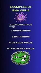 RNA VIRUS (EXAMPLES)