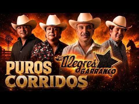Los Alegres del Barranco Mix 2026 - Los Alegres del Barranco Sus Mejores Exitos