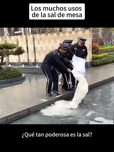 Life Hacks for Everyday Life | Vida Tips