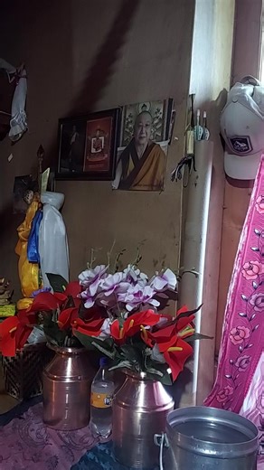 Chiring dolma Tamang (@chiringdolma1)’s videos with Tashi Tendrel (Tibetan Song) - Tenzin Donsel