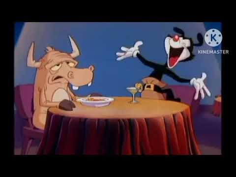 Animaniacs 1993 Intro FanDub
