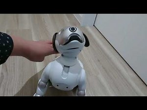New aibo is comming!!