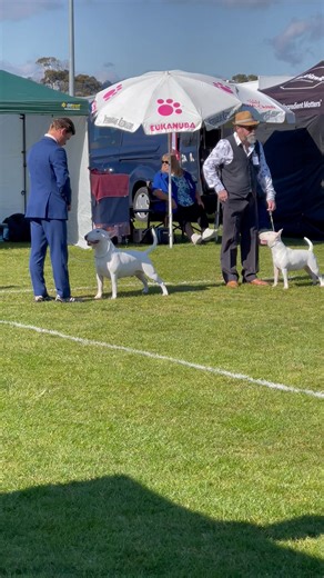 Helen Walker on Reels