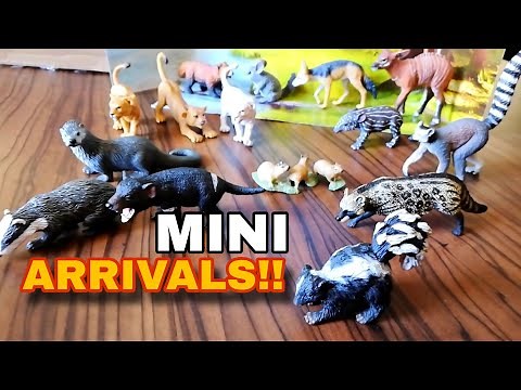 Unveiling: Essential Mini Animal Figures by CollectA 😍