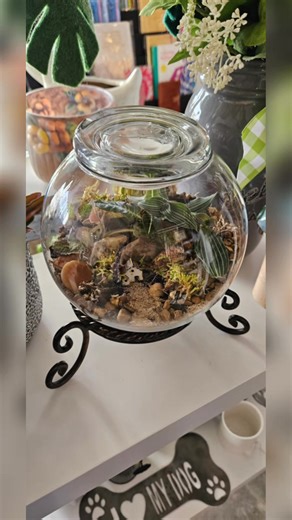 Experience the art of red terrariums, exclusively at The Ruby Wren Eclectic Boutique, keeping it local. #redsterrariums #therubywreneclecticboutique #keepitlocal #terrarium  | Red's Terrariums | Facebook