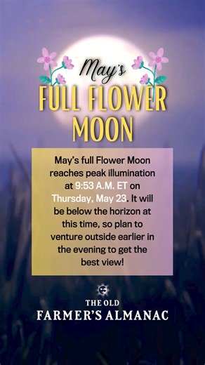 60K views · 1K reactions | Did you just watch Martin Scorsese’s ‘Killers of the Flower Moon’? ️ Wondering what a "Flower Moon" is? You may recognize it by one of its many other names: The Cree names "Egg Laying Moon" and "Frog Moon", as well as the Oglala term "Moon of the Shedding Ponies". What would YOU call this Moon? ️️️ Almanac.com/Full-Moon-May | The Old Farmers Almanac | Facebook