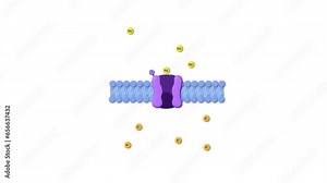 Type of Drug Receptor, ligand, cell membrane, ligand gated receptor, sodium, potassium, passage through the cell membrane
