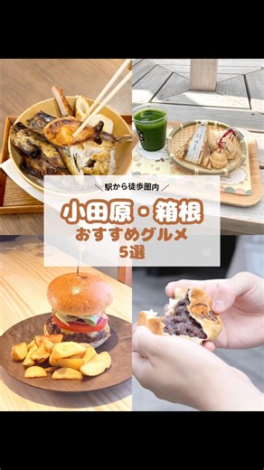 ＼駅から徒歩OK／ 小田原・箱根 おすすめグルメ 5選 #shorts #箱根 #観光