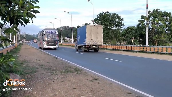 Gie.bus.Spotting on TikTok