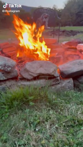 Celebrating Itty: A Lord of the Rings Tribute