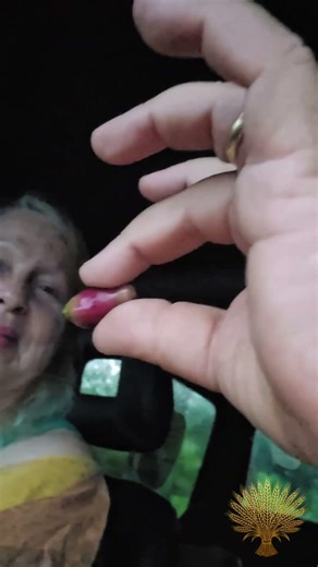 Rowan'sFarm (parte 26)