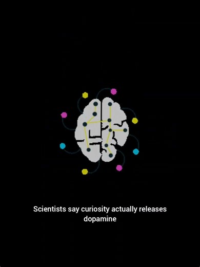 Why You Can’t Resist Curiosity (Your Brain Is Hooked) 🤯#shorts#ytfeed