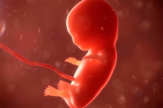 World’s ‘oldest baby’: What a 30-year-old embryo tells us about future of fertility