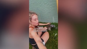 Kind animals asking for help and finding good humans