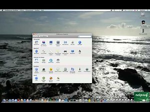 Utiliser le zoom en général