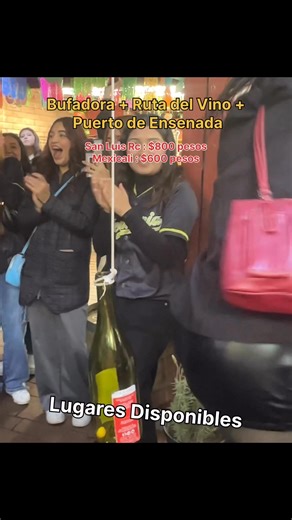 57 shares |  Tour Bufadora 3 en 1   Mexicali: $600 pesos  San Luis RC: $800 pesos  Próxima salida: 06 | 07 de Diciembre  ¡Lugares disponibles! Vive la magia de Ensenada, Ruta del Vino y La Bufadora en un solo día  ¡Aparta tu lugar antes de que se agoten! | Mi Sonora Tours | Facebook