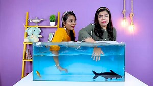 What's In The Box Underwater Challenge 2 | Hungry Birds