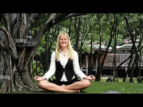 F.A. Rossler Rosetti Sonata for Harp B flat Major (2000) - Gabriela Demeterová