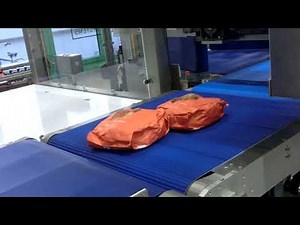 CPS Case Packing Systems - CL64