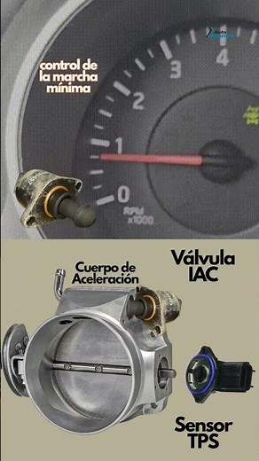 RPM Fluctuando Inestables Válvula IAC y Sensor TPS - Cuerpo de Aceleración