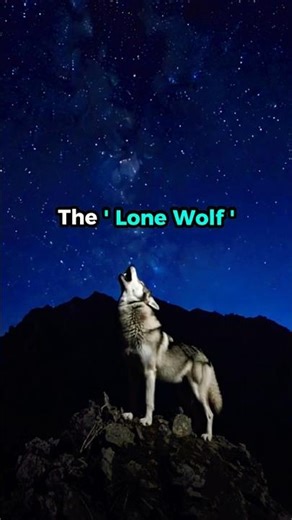 The TRUTH about Wolf Packs! 🐺😱 #wildlife