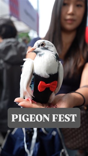 17K views · 112 reactions | Welcome to Pigeon Fest at The High Line - where the birds wear bowties, the people wear feathers, and absolutely no one is questioning it  諸 | CBS New York | Facebook