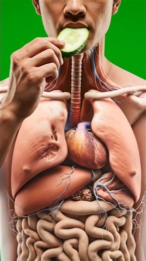 Witness the hidden science inside your body 🍃✨ #science #viral #trending #medicalanimation