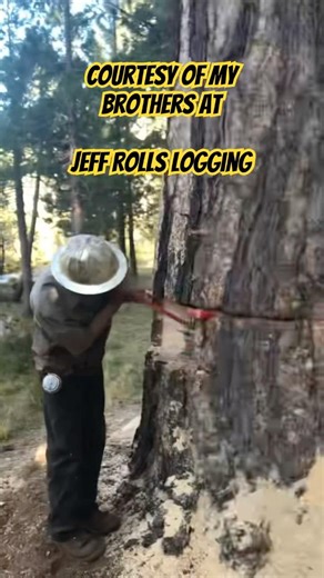 And now for something a little different