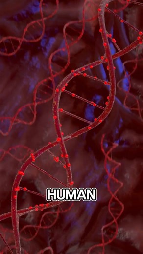 0.1% DNA Difference makes you unique! #Sciencefacts #OpenForge