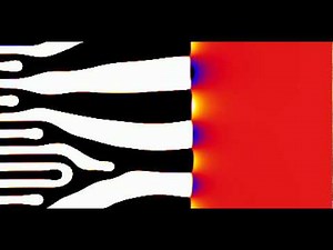Simulation of Eutectic Solidification