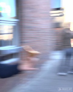 454K views · 5.6K reactions | Barstool Pizza Review - Pizza Tree (Columbia, MO) | David Portnoy - El Presidente | Facebook